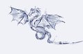 モンクレール レディース ダウン